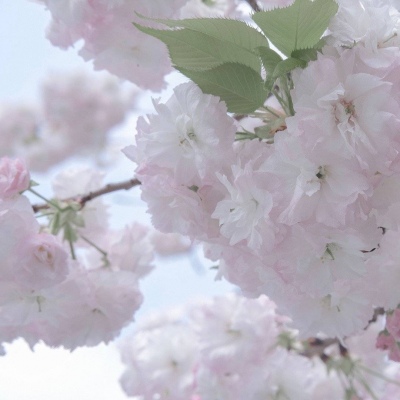 Furry插画故事感设计兽圈社群